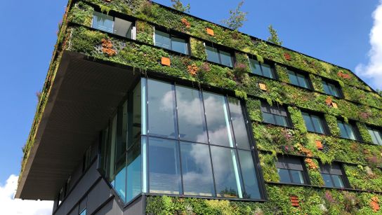 Die Schweiz hat sich ein Klimaziel gesetzt. 