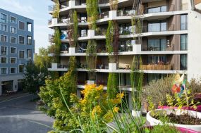 Neuer Verein zum Thema Nachhaltiges Bauen 